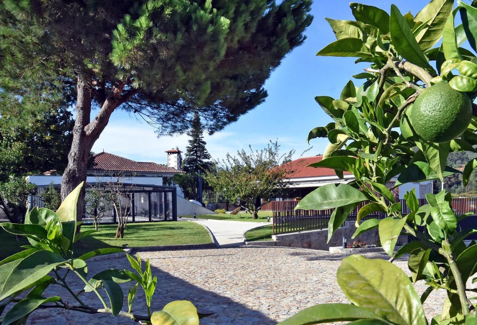 Alminhas Da Mindua - Unique Experiences By Luxistay Vitorino dos Piães Εξωτερικό φωτογραφία