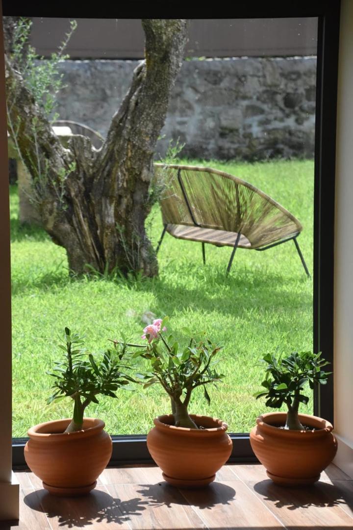Alminhas Da Mindua - Unique Experiences By Luxistay Vitorino dos Piães Εξωτερικό φωτογραφία
